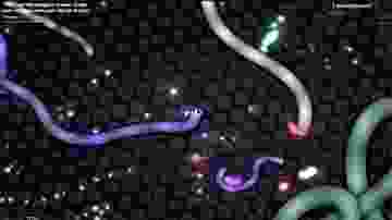 slither io