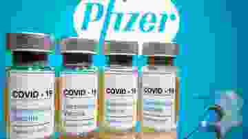 pfizer biontech koronavirüs aşısı