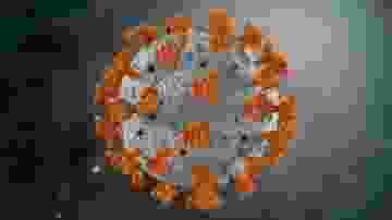 koronavirüs