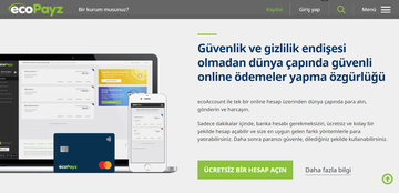 paypal türkiye, ecopayz