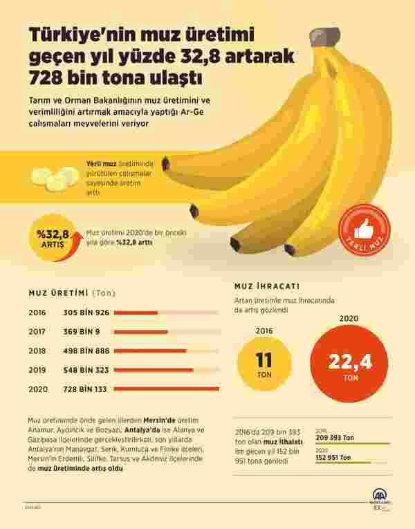 Türkiye nin muz üretimi 728 bin tona ulaştı #3