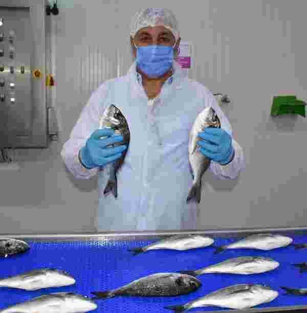 Avrupa ya pandemi sürecinde balık, Türkiye den gitti #1