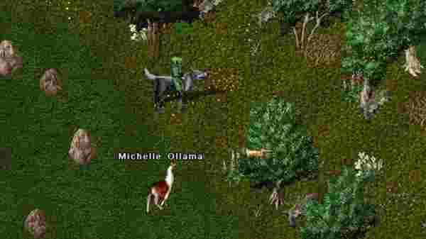 Ultima Online Taming