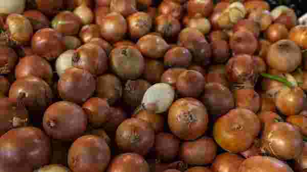 Türkiye 2020 de 124 bin ton patates, 220 bin ton soğan ihraç etti #1