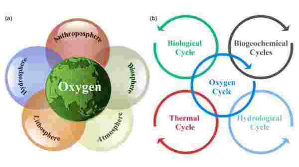 Yer sistem bilimlerinde oksijen döngüsünün durumu (a) ve diğer biyojeokimyasal döngülerle ilişkisi (b)