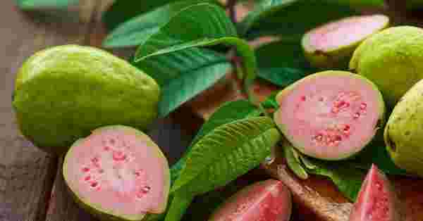 guava meyvesinin faydaları nelerdir