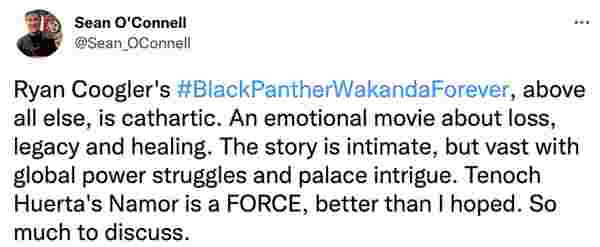 black panther wakanda forever