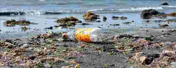 Plastik kirliliğiyle mücadelede yeni dönem - 2