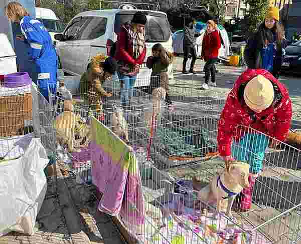 Göçükten kurtarılan evcil hayvanlar için sahra çadırı - Resim : 3