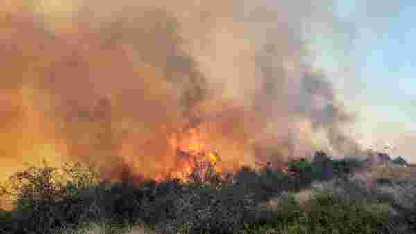 Çanakkale'deki yangın 16 saatte kontrol altına alınabildi